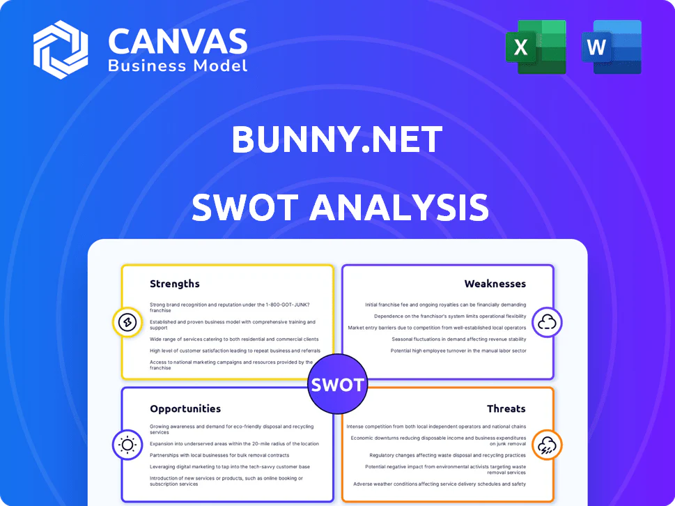 BUNNY.NET SWOT ANALYSIS TEMPLATE RESEARCH
