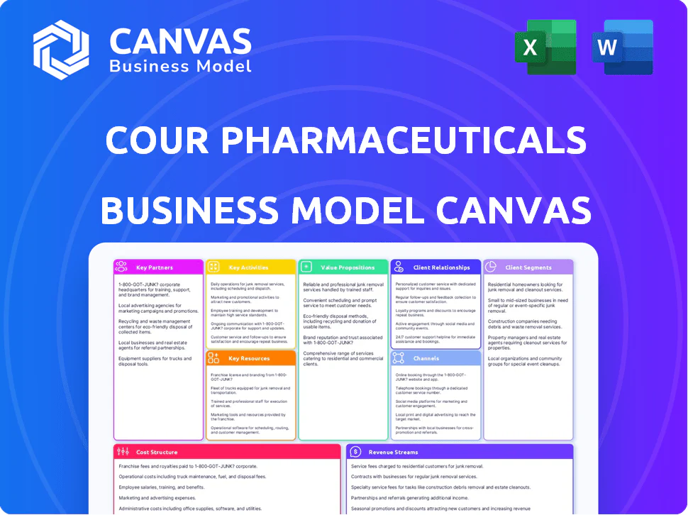 COUR PHARMACEUTICALS DEVELOPMENT BUSINESS MODEL CANVAS TEMPLATE RESEARCH