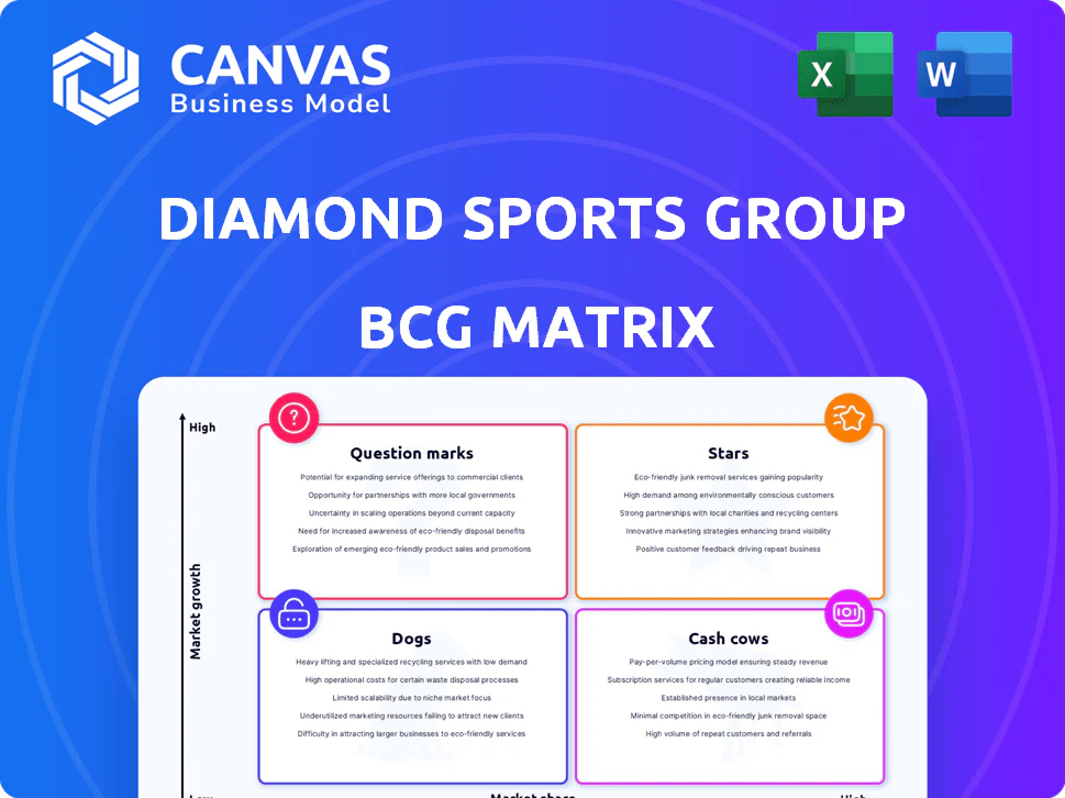 DIAMOND SPORTS GROUP BCG MATRIX TEMPLATE RESEARCH