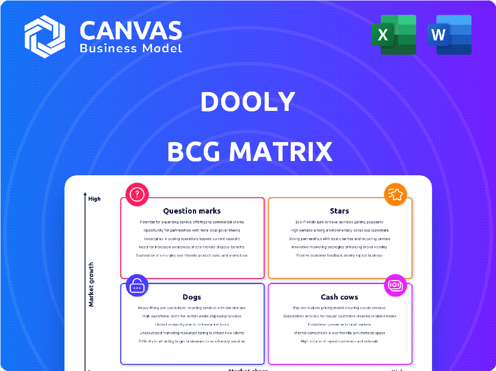 DOOLY BCG MATRIX TEMPLATE RESEARCH