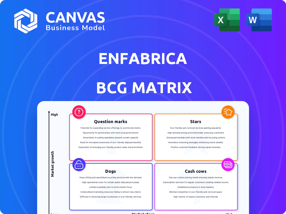 ENFABRICA BCG MATRIX TEMPLATE RESEARCH