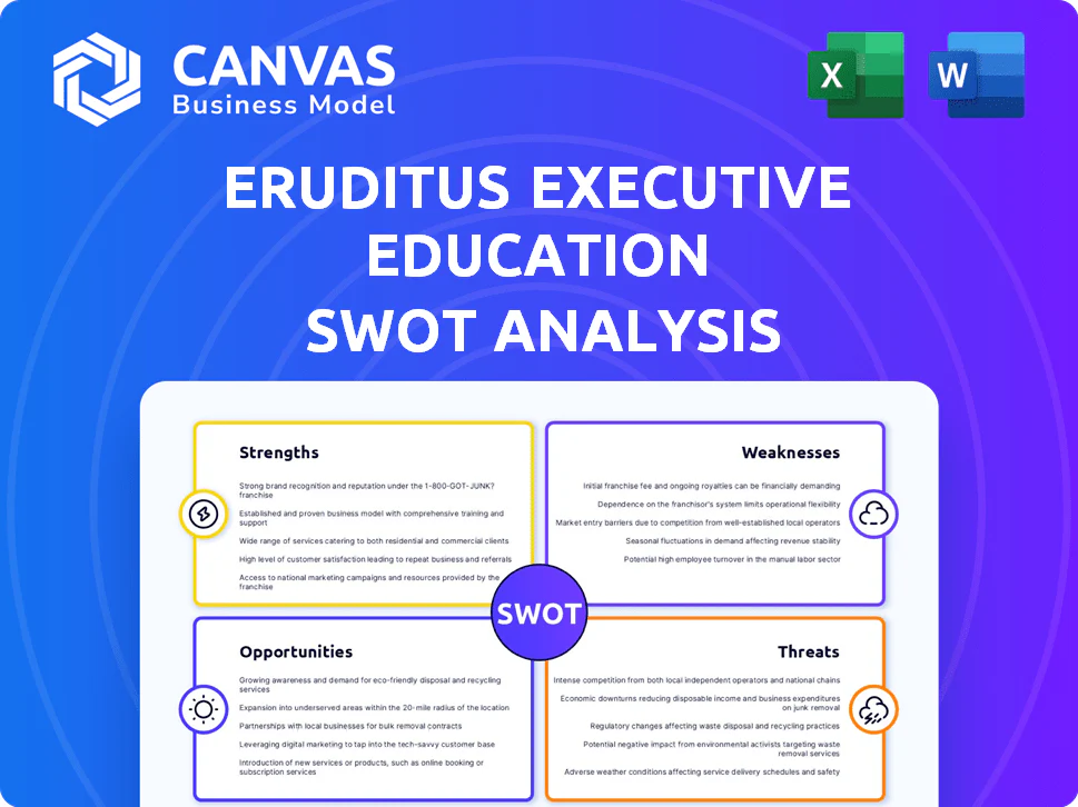 ERUDITUS EXECUTIVE EDUCATION SWOT ANALYSIS TEMPLATE RESEARCH