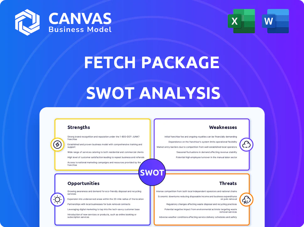 FETCH PACKAGE SWOT ANALYSIS TEMPLATE RESEARCH