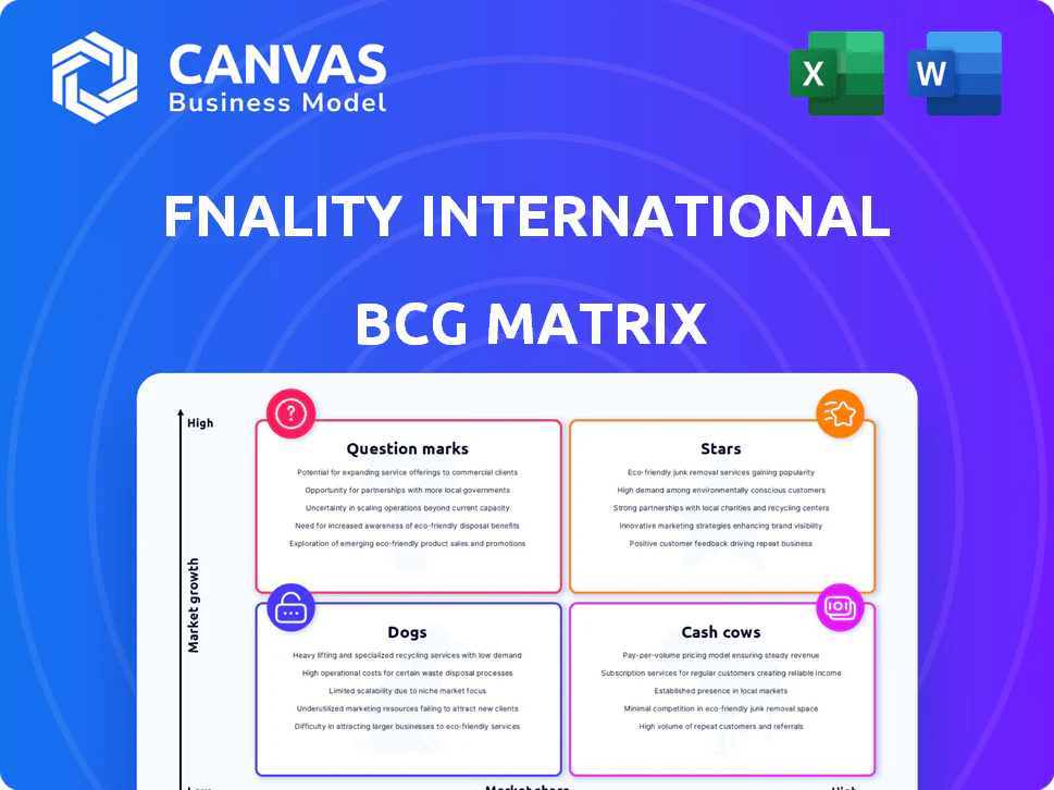 FNALITY INTERNATIONAL BCG MATRIX TEMPLATE RESEARCH