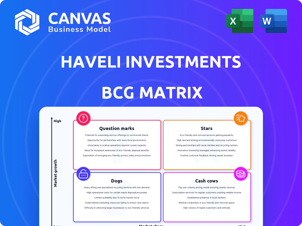 HAVELI INVESTMENTS BCG MATRIX TEMPLATE RESEARCH