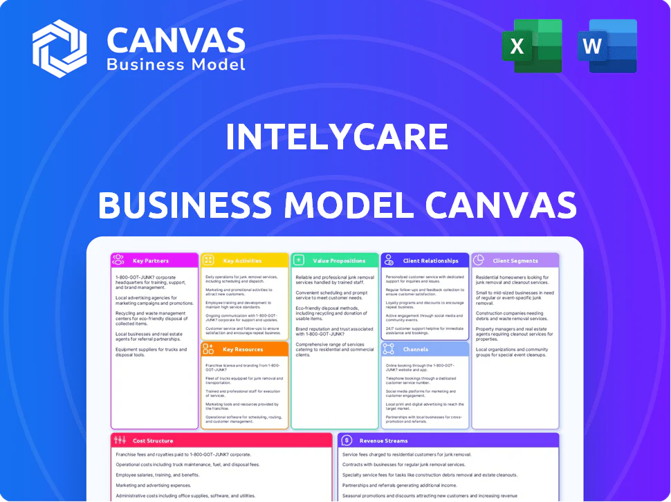 INTELYCARE BUSINESS MODEL CANVAS TEMPLATE RESEARCH