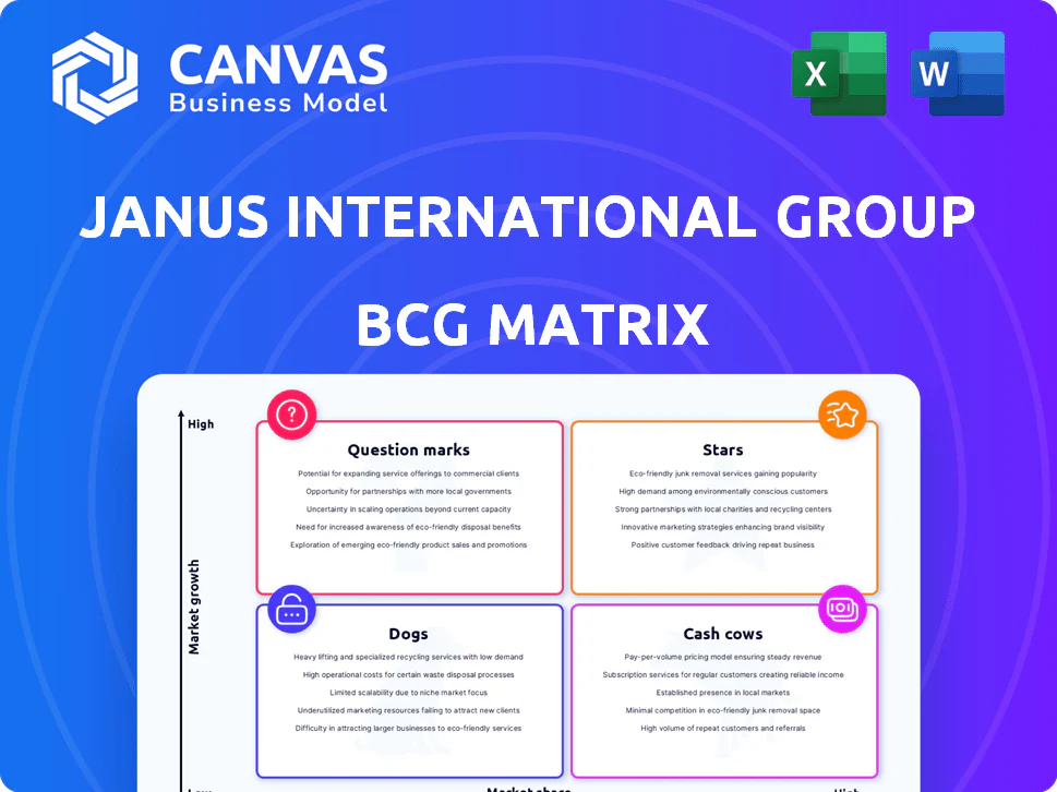JANUS INTERNATIONAL GROUP BCG MATRIX TEMPLATE RESEARCH