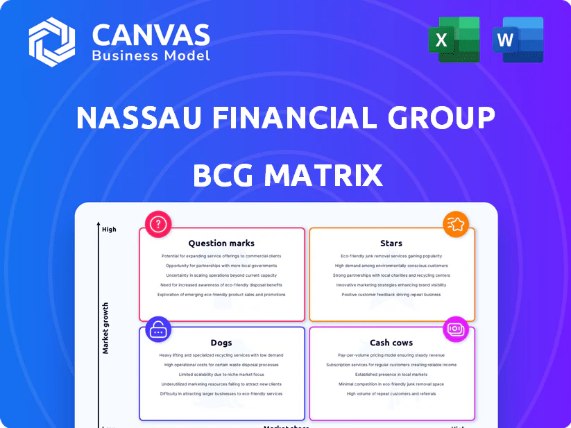 NASSAU FINANCIAL GROUP BCG MATRIX TEMPLATE RESEARCH