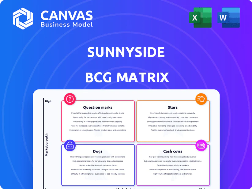 SUNNYSIDE BCG MATRIX TEMPLATE RESEARCH