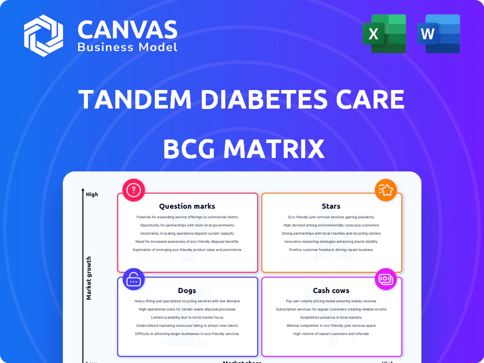 TANDEM DIABETES CARE BCG MATRIX TEMPLATE RESEARCH