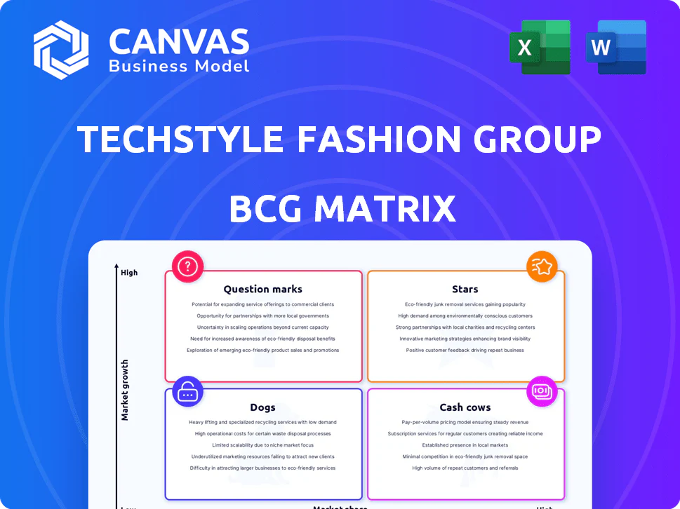 TECHSTYLE FASHION GROUP BCG MATRIX TEMPLATE RESEARCH