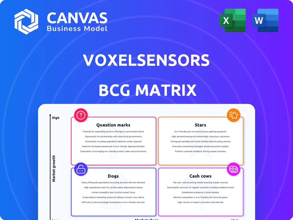 VOXELSENSORS BCG MATRIX TEMPLATE RESEARCH