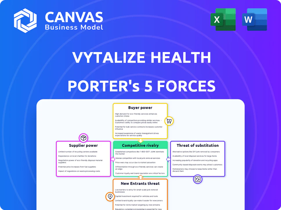 VYTALIZE HEALTH PORTER'S FIVE FORCES TEMPLATE RESEARCH